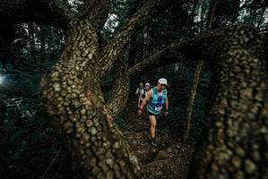 BIB: 
                            <button type="button" onclick="openModal(25699209)" class="btn btn-primary btn-sm float-right btn-popup" data-toggle="modal" data-target=".modal-high-quality">
                        <i class="fas fa-shopping-cart"></i> Add to Cart
                    </button>
                                            <button type="button" onclick="isThisMe(25699209, true)" class="btn btn-success btn-sm float-right btn-popup btn-isme hidden" data-toggle="tooltip" data-placement="bottom" title="นี่คือรูปของคุณใช่ไหม คลิกที่นี่เพื่อเอาเข้าอัลบั้ม">
                        <i class="fas fa-plus"></i> Add to album
                    </button>
                    <button type="button" onclick="isThisMe(25699209, false)" class="btn btn-warning btn-sm float-right btn-popup btn-isnotme hidden">
                        <i class="fas fa-ban"></i> Remove from album
                    </button>